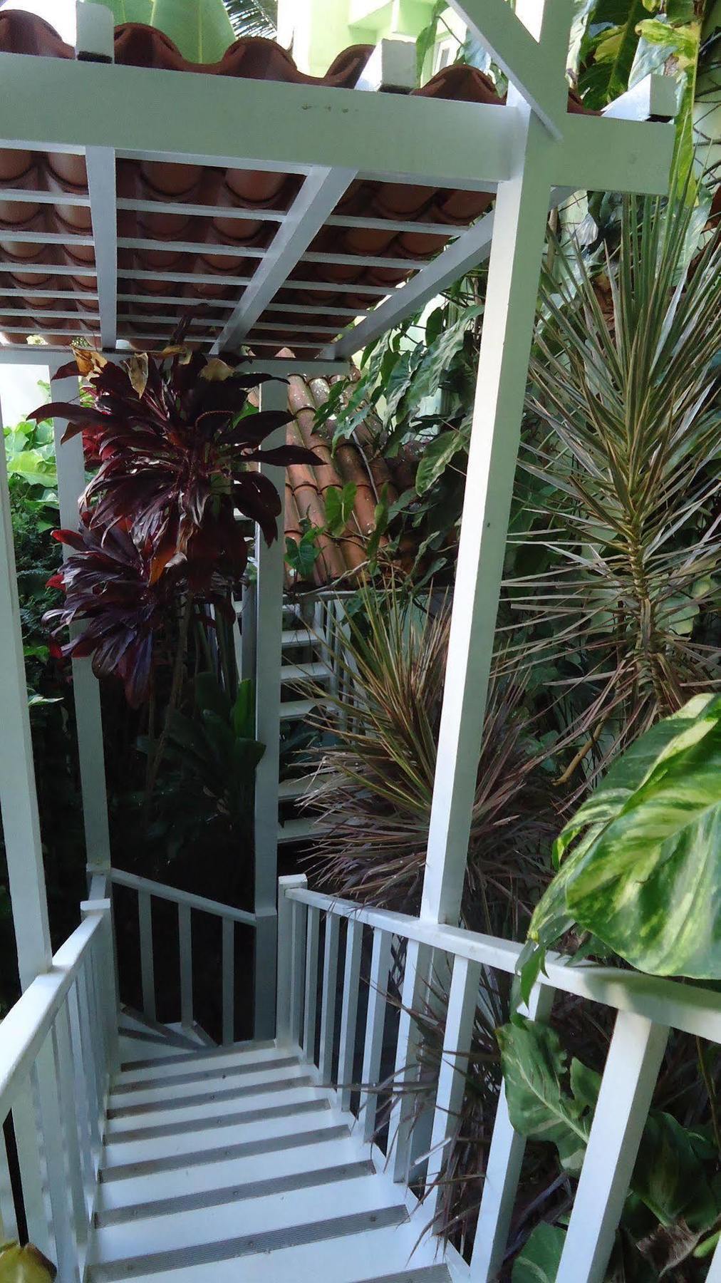 Hotel Pousada Papaya Verde Salvador Kültér fotó